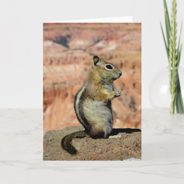 Golden Mantled Ground Squirrel Card (Front)