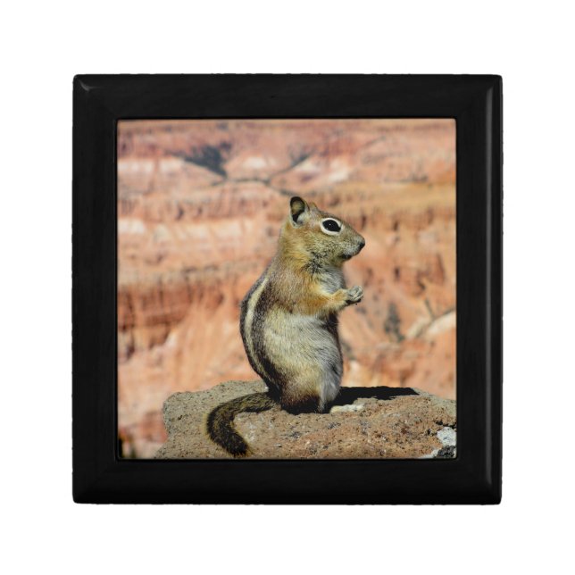 Golden Mantled Ground Squirrel Gift Box (Front)