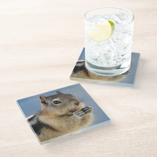 Golden Mantled Ground Squirrel Glass Coaster (Angled)