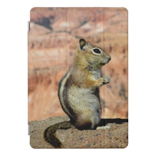 Golden Mantled Ground Squirrel iPad Pro Cover