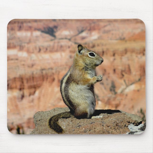 Golden Mantled Ground Squirrel Mouse Pad (Front)