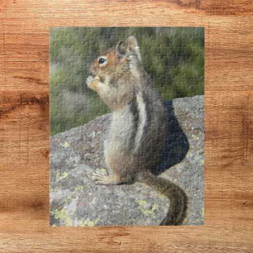 Golden Mantled Ground Squirrel Nature Jigsaw Puzzle