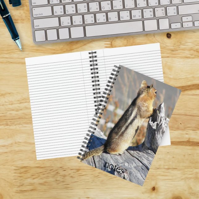 Golden Mantled Ground Squirrel Nature Photo Notebook (In Situ)