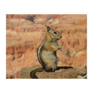 Golden Mantled Ground Squirrel Wood Wall Art