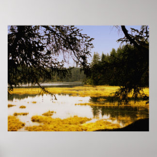 Golden Marsh Poster