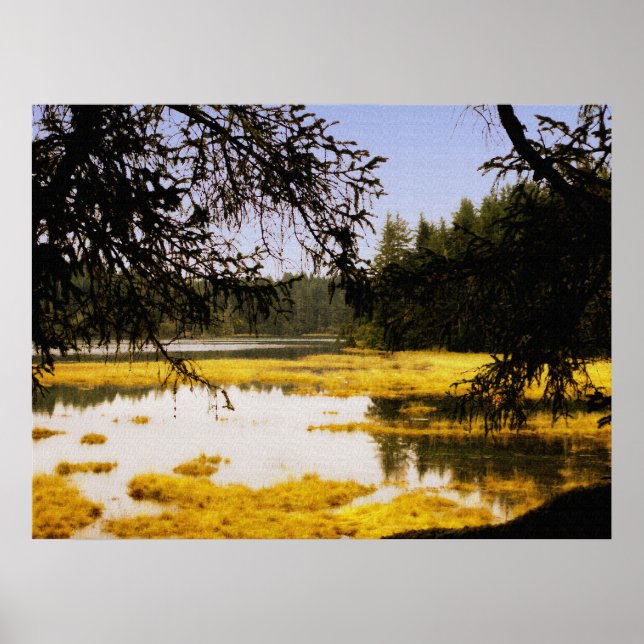 Golden Marsh Poster (Front)