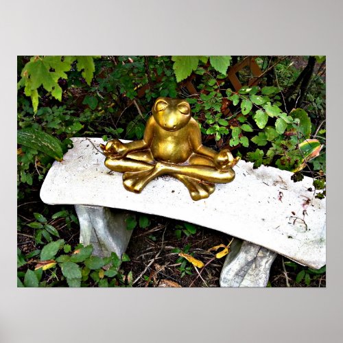 Golden Meditating Frog Original Photography Poster