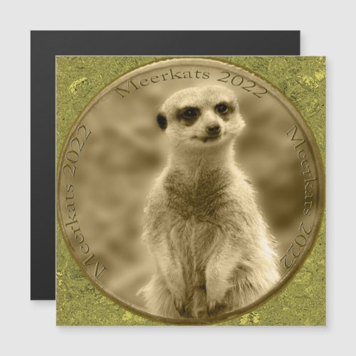 Golden Meerkat 2022 Coin Magnetic Card