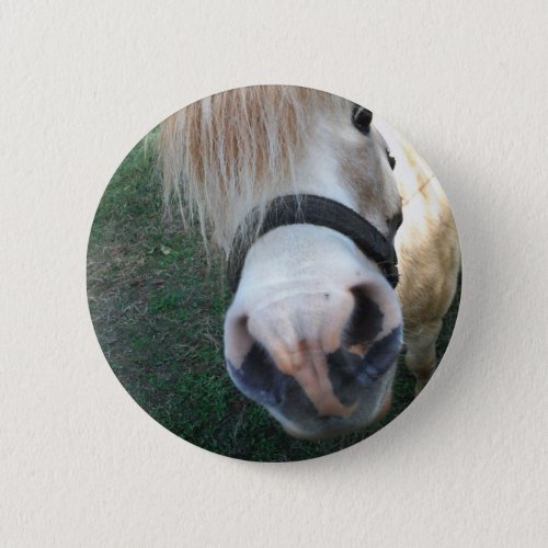 Golden Miniature Horse Button
