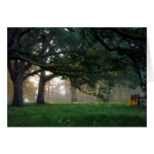 Golden Moment (Front Horizontal)