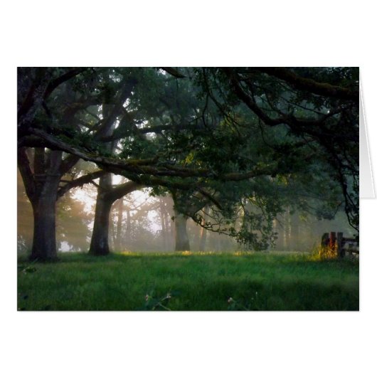 Golden Moment (Front Horizontal)