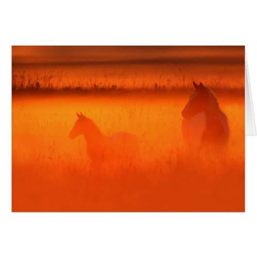 Golden Moment Cards (Front Horizontal)