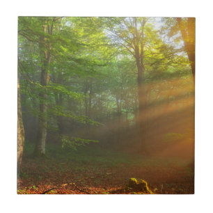 Golden Moment of Light Ceramic Tile