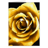 Golden Moments_ (Front)