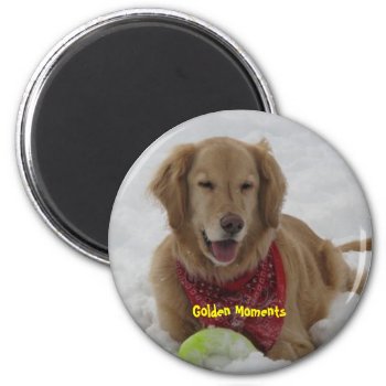 Golden Moments Magnet by dbrown0310 at Zazzle