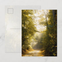 Golden Morning park, Original Fine Art Photograph