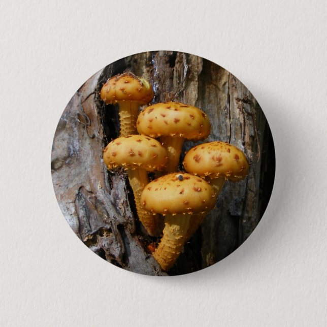 Golden Mushroom ~ button (Front)