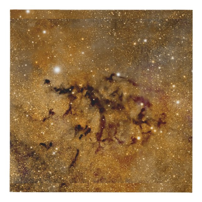 Golden Nebula Starfield – Cosmic Wall Art (Front)