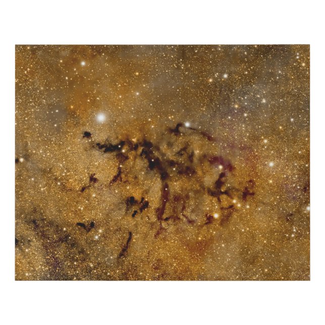 Golden Nebula Starfield – Cosmic Wall Art (Front)