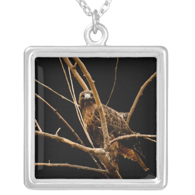 Golden Necklace (Front)