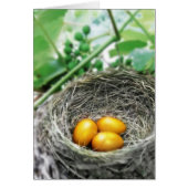 Golden Nest Eggs (Front)