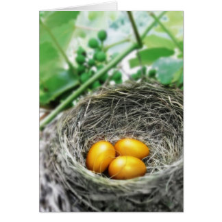 Golden Nest Eggs Cards