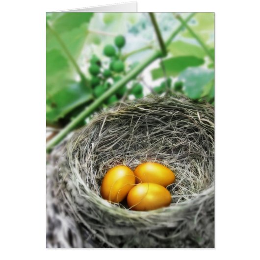Golden Nest Eggs Cards (Front)