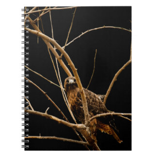 Golden Notebook