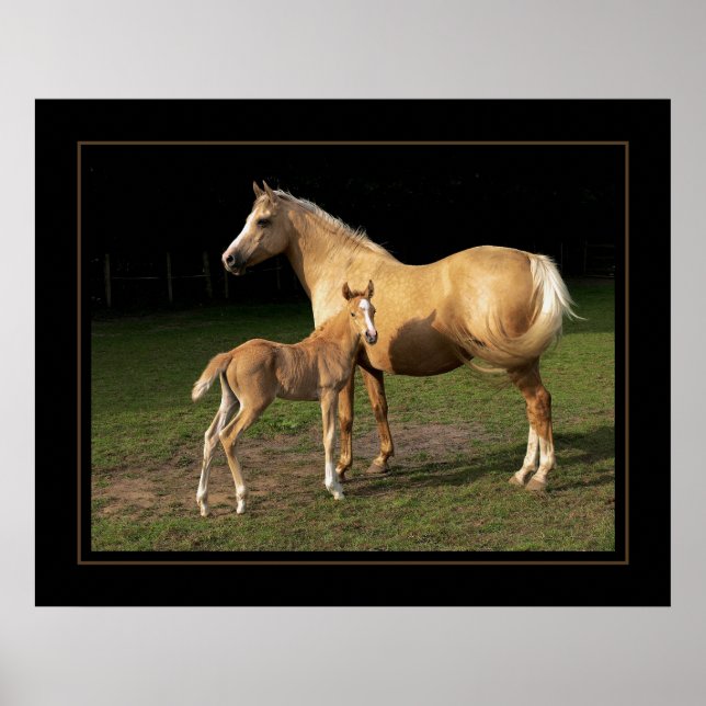 Golden Nugget Poster (Front)