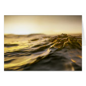 Golden Ocean Sunset (Front Horizontal)