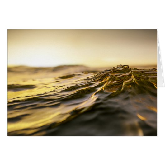 Golden Ocean Sunset (Front Horizontal)