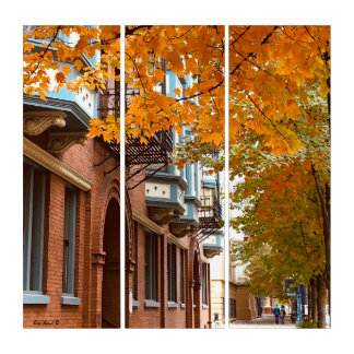 Golden Old Edwardians Triptych