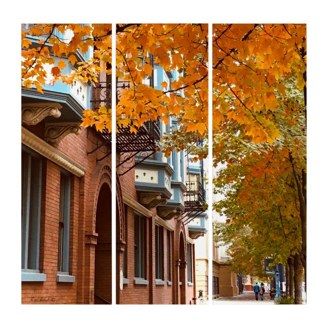Golden Old Edwardians Triptych (Front)