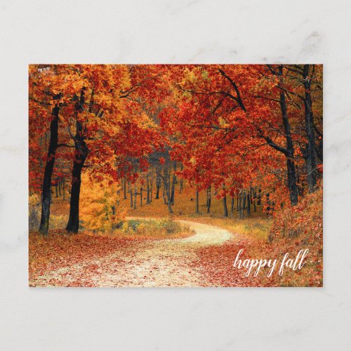 Golden Orange and Yellow Fall Trees Nature Trail Postcard