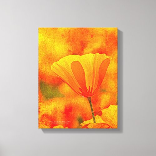 Golden Orange California Poppy Land Of Orange Canvas Print