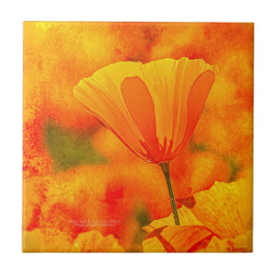 Golden Orange California Poppy "Land Of Orange" Ceramic Tile