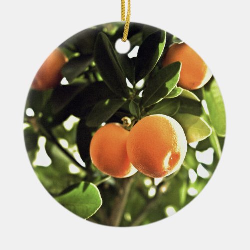 Golden Orange Fruit Tree Ceramic Ornament