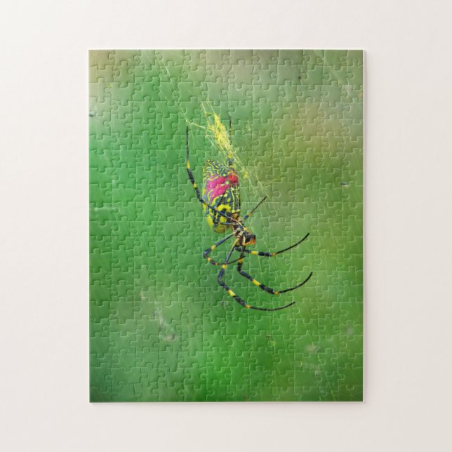 Golden Orb Weaver Spider Puzzle (Vertical)