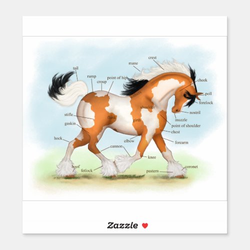 Golden Overo Gypsy Vanner Pony Horse Anatomy Chart Sticker