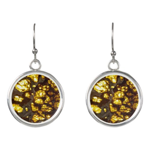 Golden pair of dangle earrings