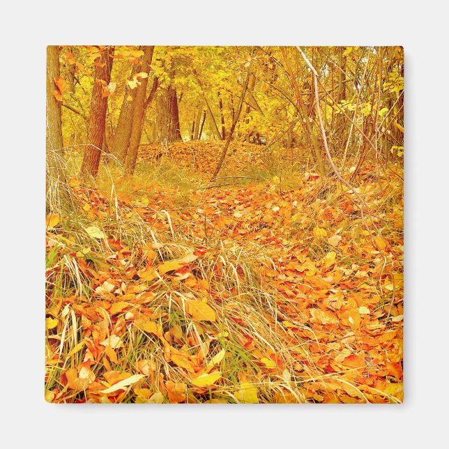 Golden Path Magnet (Front)