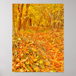 Golden Path Poster