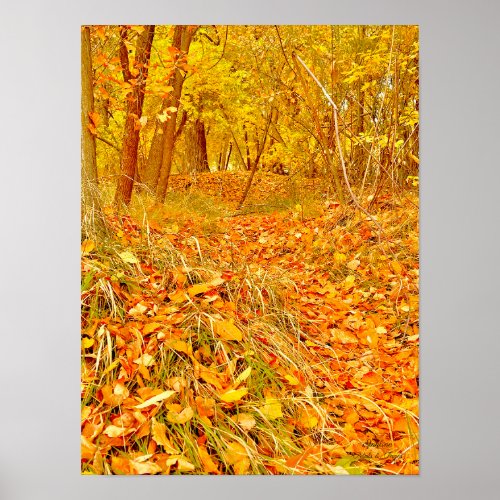Golden Path Poster