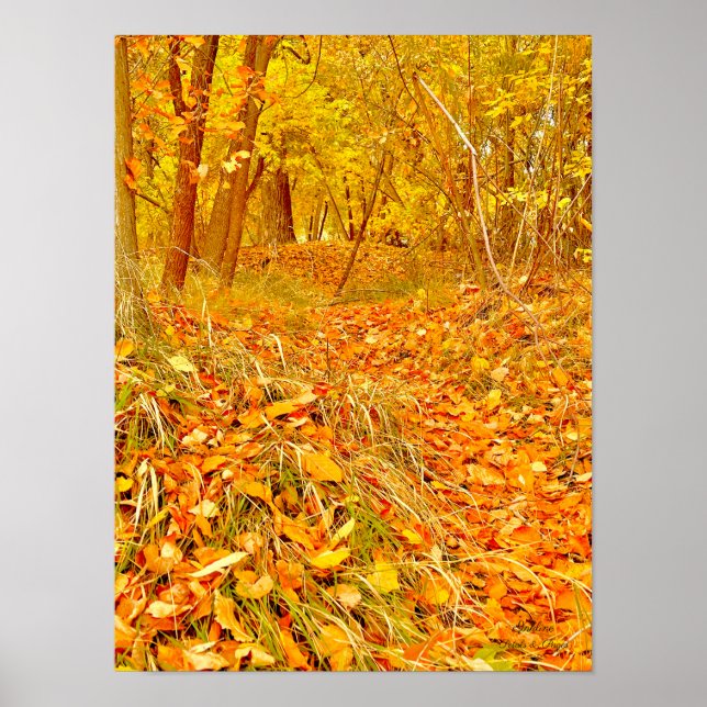 Golden Path Poster (Front)