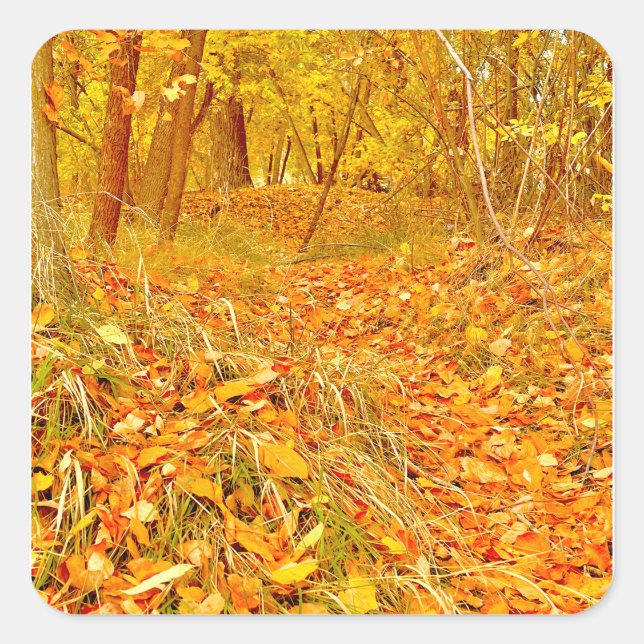 Golden Path Square Sticker (Front)