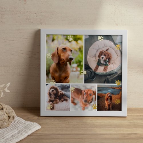 Golden Paw Prints Pet Photo Collage