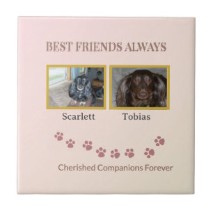 Golden Pawprints Cherished Companions Ceramic Tile