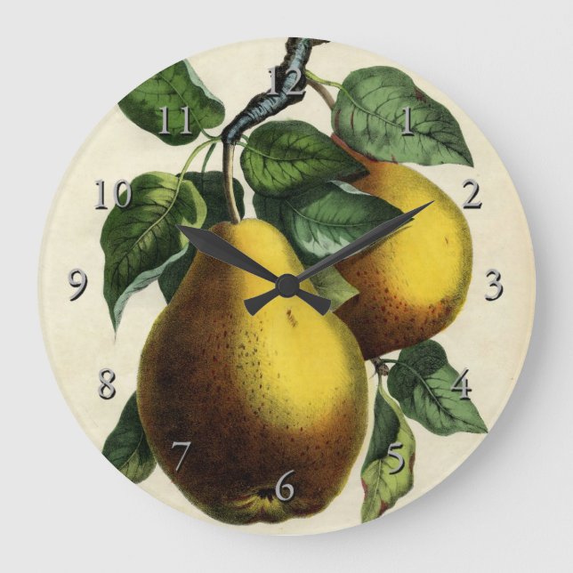 Golden Pears Large Clock (Front)