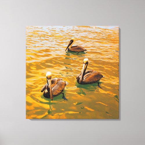 Golden Pelicans Canvas Print