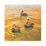 Golden Pelicans Metal Print
